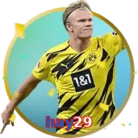 hay29