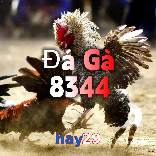 hay29
